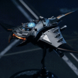 Manta Ray