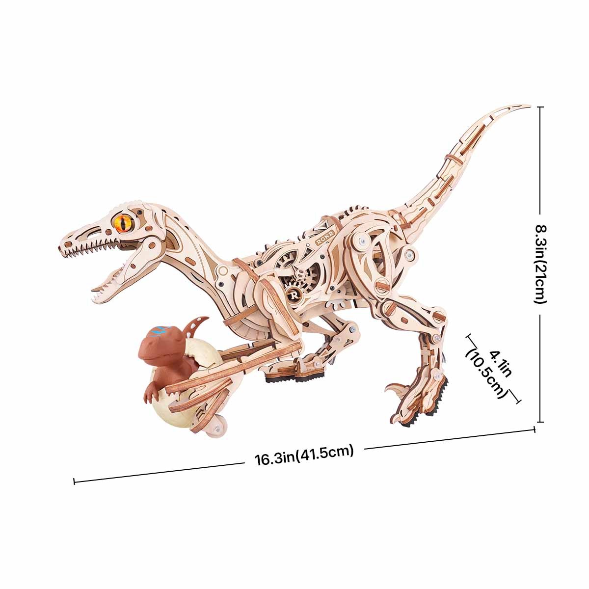 ROKR Velociraptor LD01 taille graphique montrant 41,5 cm de longueur assemblée
