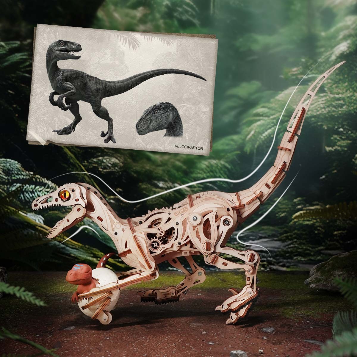 ROKR Velociraptor LD01 dinosaure en bois en pose de marche dans un diorama de jungle