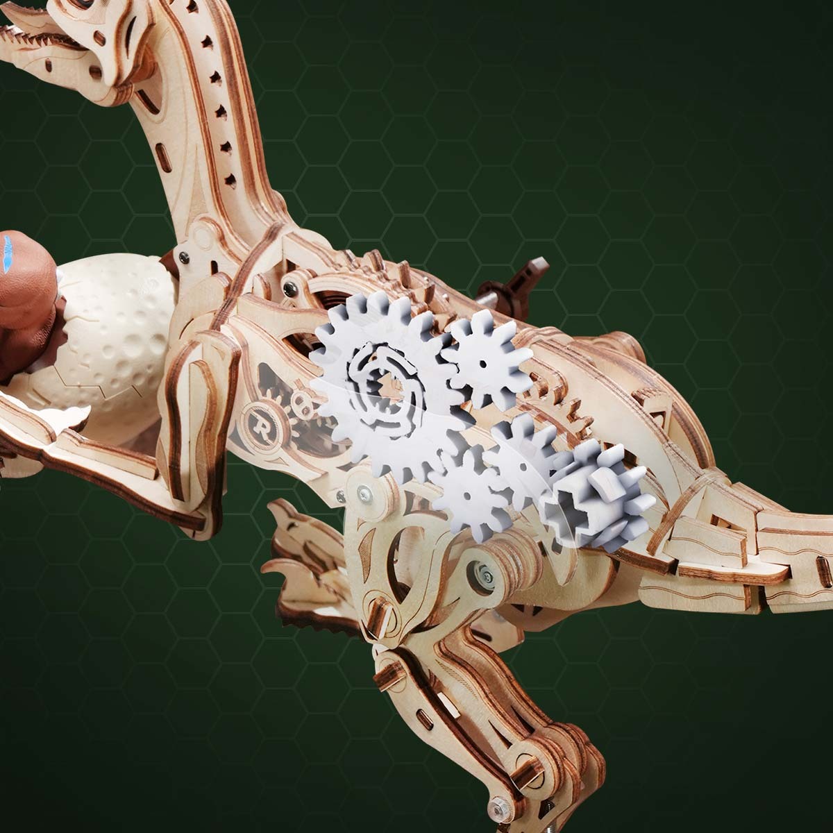 ROKR Velociraptor LD01 gros plan sur la transmission par engrenages à l'intérieur du corps en bois du dinosaure
