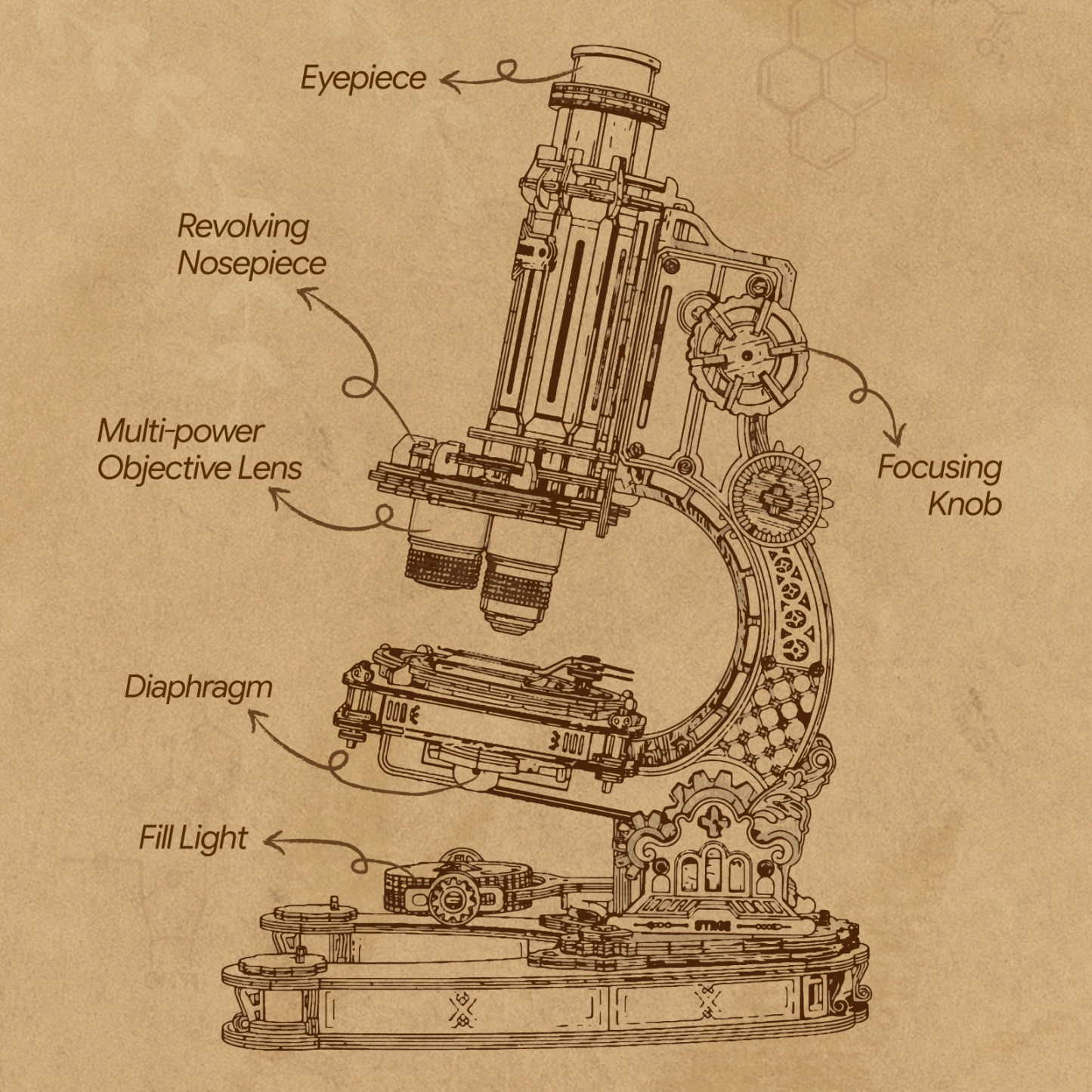 ROKR Microscope ST005 - 3D Wooden Model Kit
