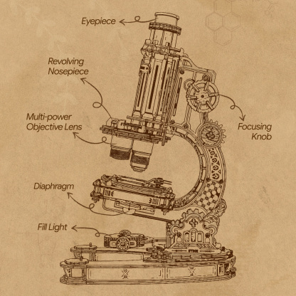 ROKR Microscope ST005 - 3D Wooden Model Kit