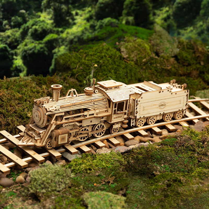 ROKR Prime Steam Express MC501 wooden train model on forest railway tracks