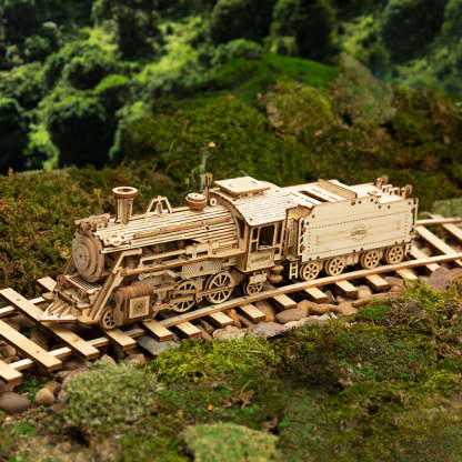 ROKR Prime Steam Express MC501 wooden train model on forest railway tracks