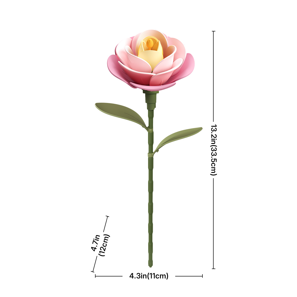 ROKR Floral Art Pink Camellia taille graphique montrant 11 cm de largeur et 38 cm de hauteur