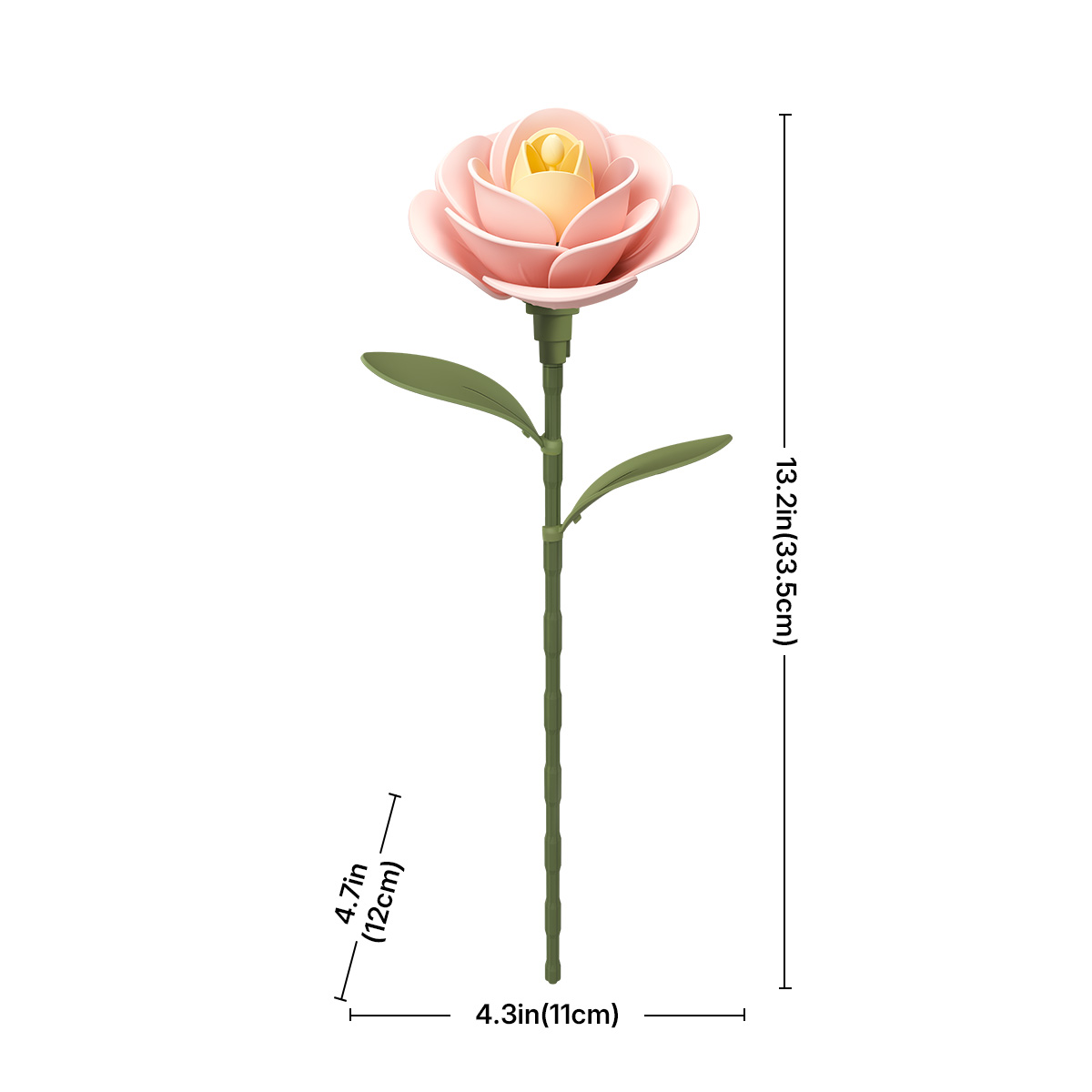 ROKR Floral Art Light Pink Camellia taille graphique montrant 11 cm de largeur et 38 cm de hauteur