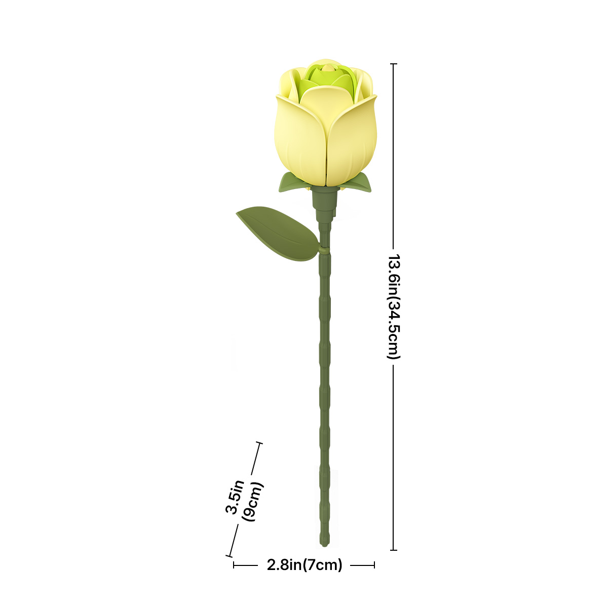 ROKR Floral Art Rose Verte taille graphique montrant 7 cm de largeur et 38 cm de hauteur