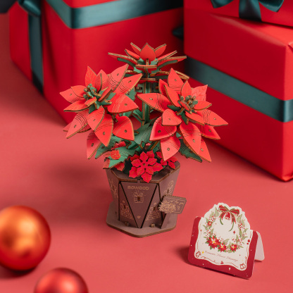Rowood Poinsettia TF001 displayed on book with Christmas decorations
