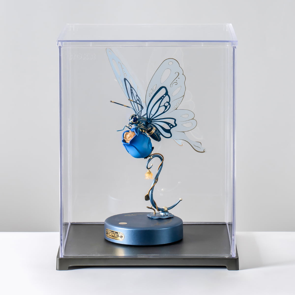 ROKR Storage Display Box RFM03 clear cover displaying blue insect model