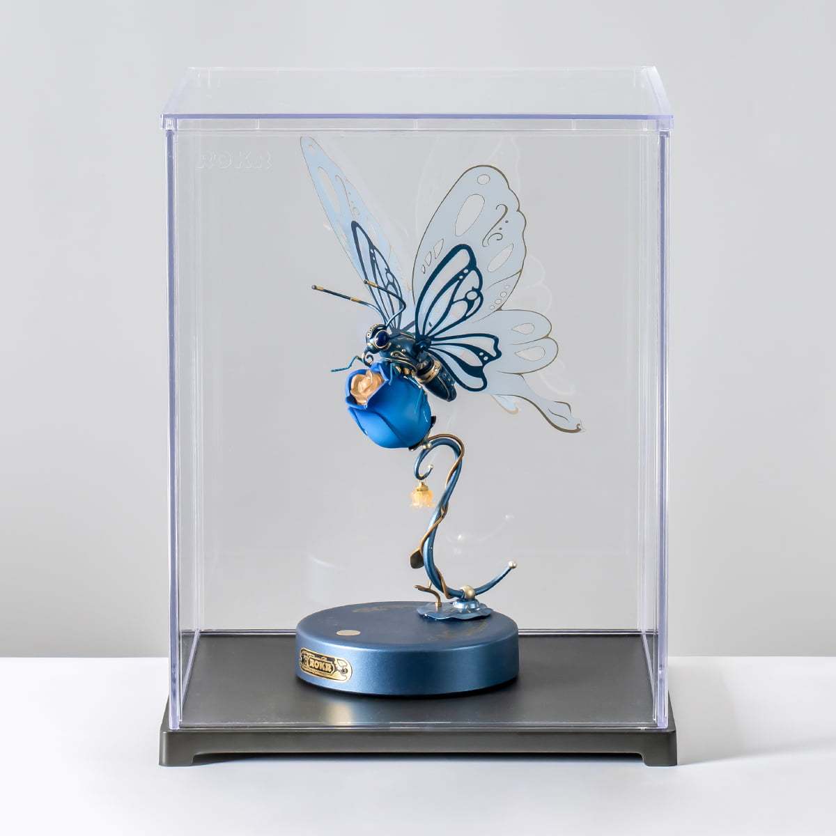 ROKR Storage Display Box RFM03 clear cover displaying blue insect model