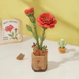 Red Carnation