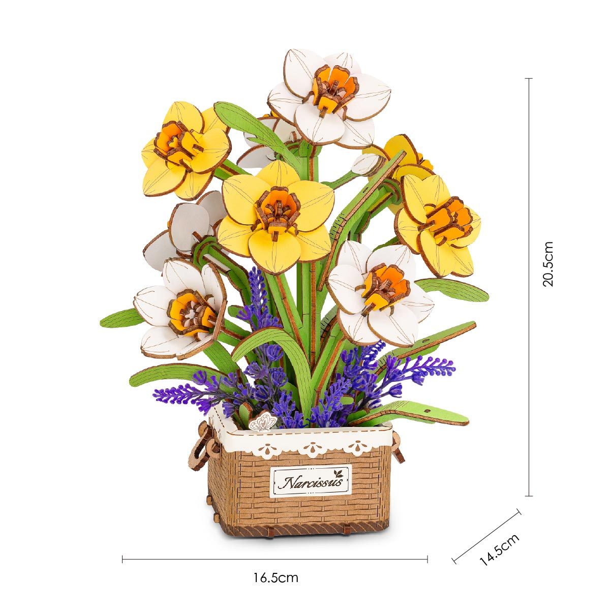 Narcissus TF002 size graphic showing 16.5cm width, 14.5cm depth, and 20cm height